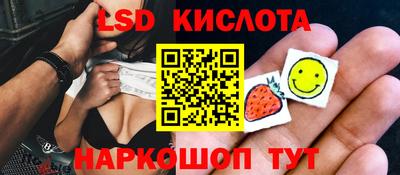прущие грибы Канаш