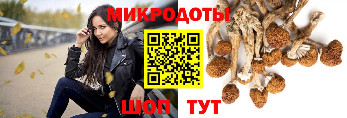 Псилоцибиновые грибы MAGIC MUSHROOMS  Вход с VPN  Усинск 
